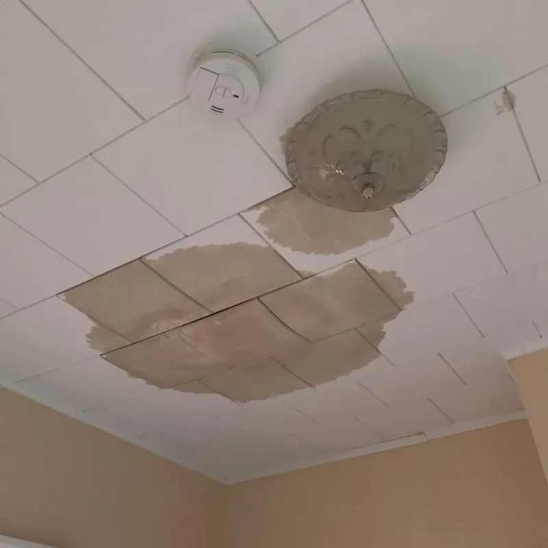 Ceiling Water Damage Repair in Billings, MO